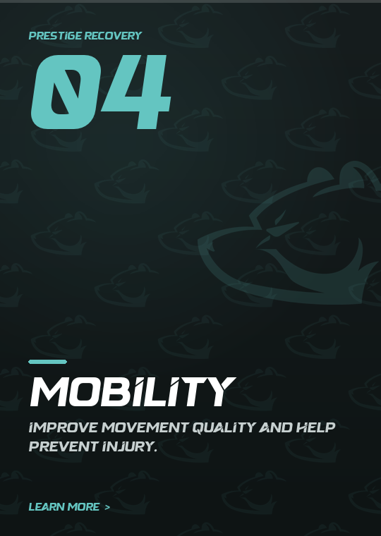 Mobility — Prestige Recovery