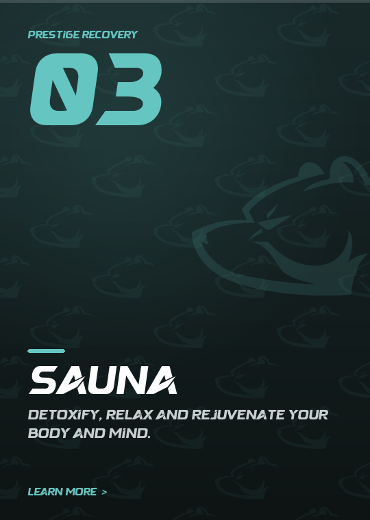 Sauna — Prestige Recovery